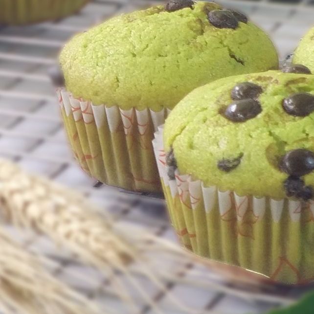 chocolate pandan muffin