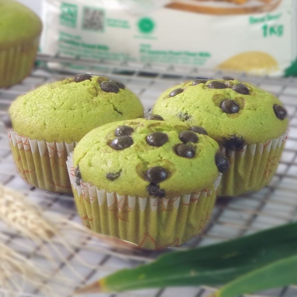 chocolate pandan muffin