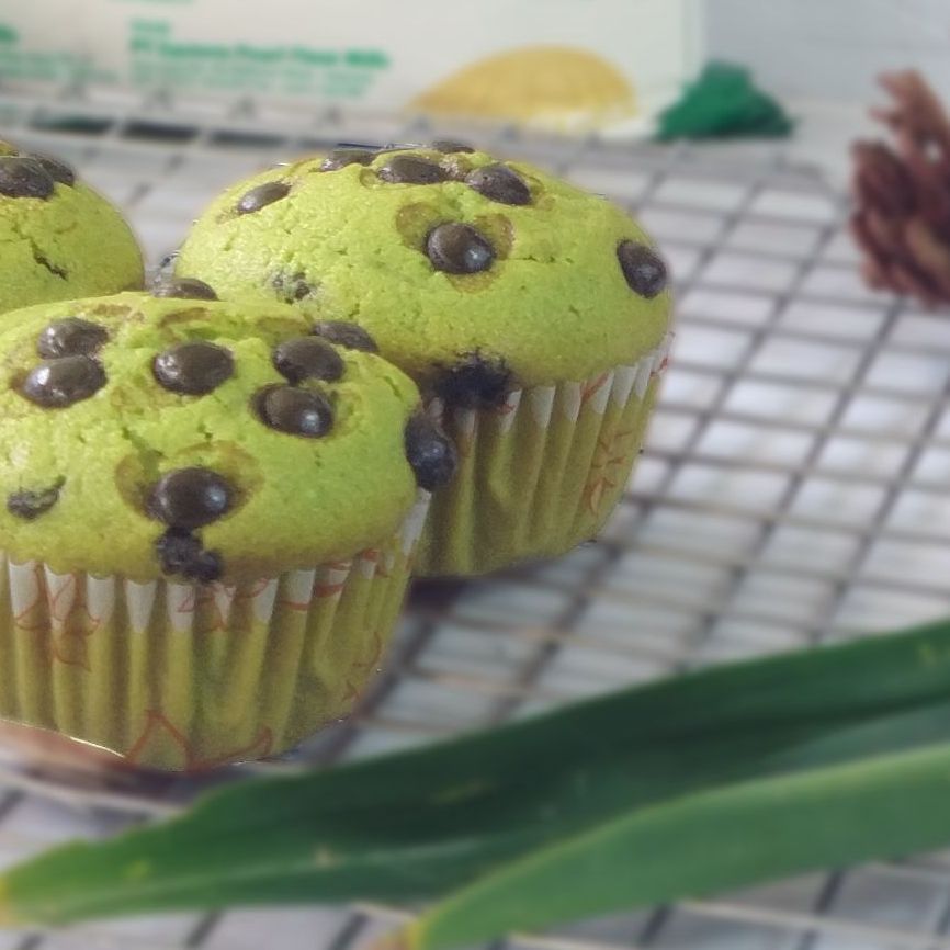 chocolate pandan muffin