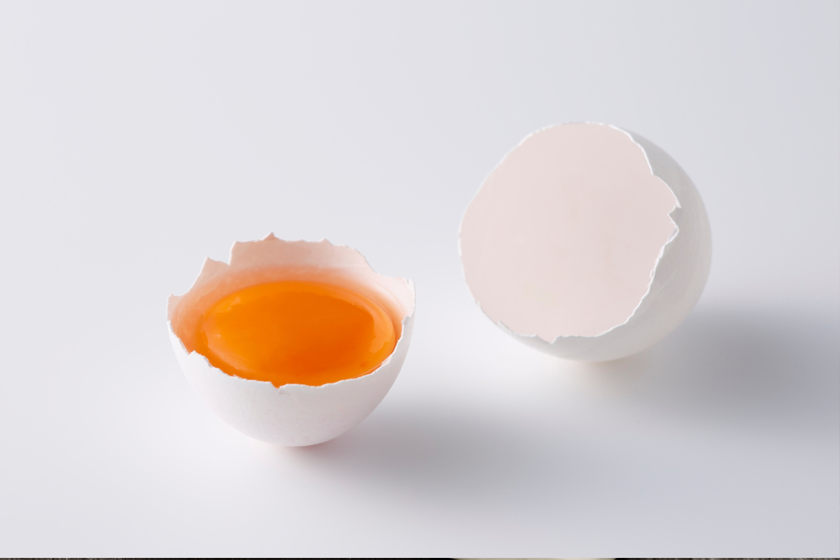 kuning telur